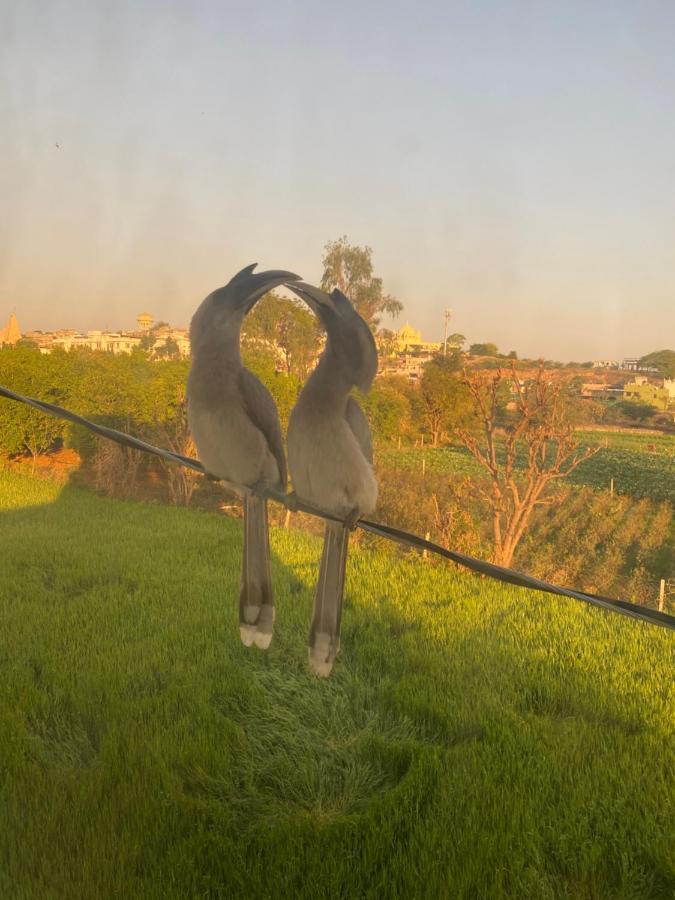 The Natural View Pushkar Exterior foto